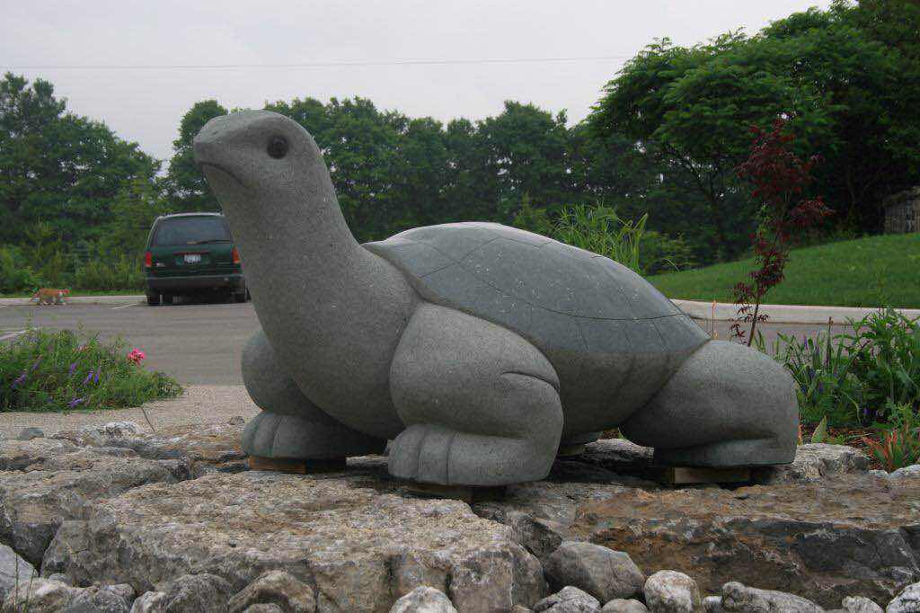 turtle.